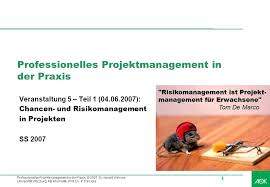 projektmanagement risikomanagement